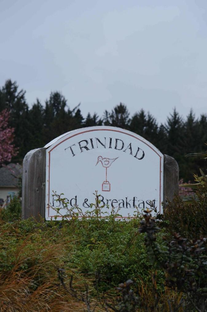 Trinidad Bay Bed And Breakfast Hotel المظهر الخارجي الصورة
